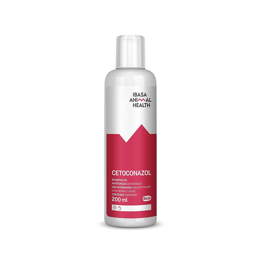 Cetoconazol Shampoo 2% 
