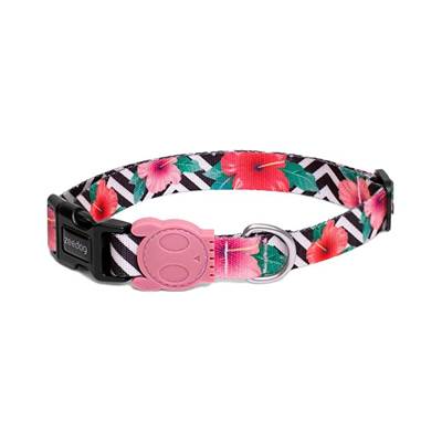Coleira para Cachorros Mahalo P