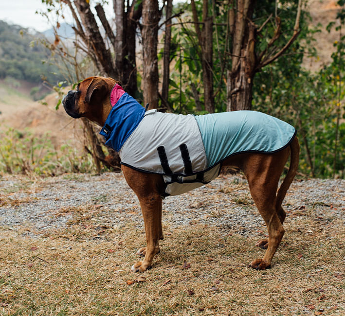 Capa de chuva para cachorros 90 s Zee.Dog