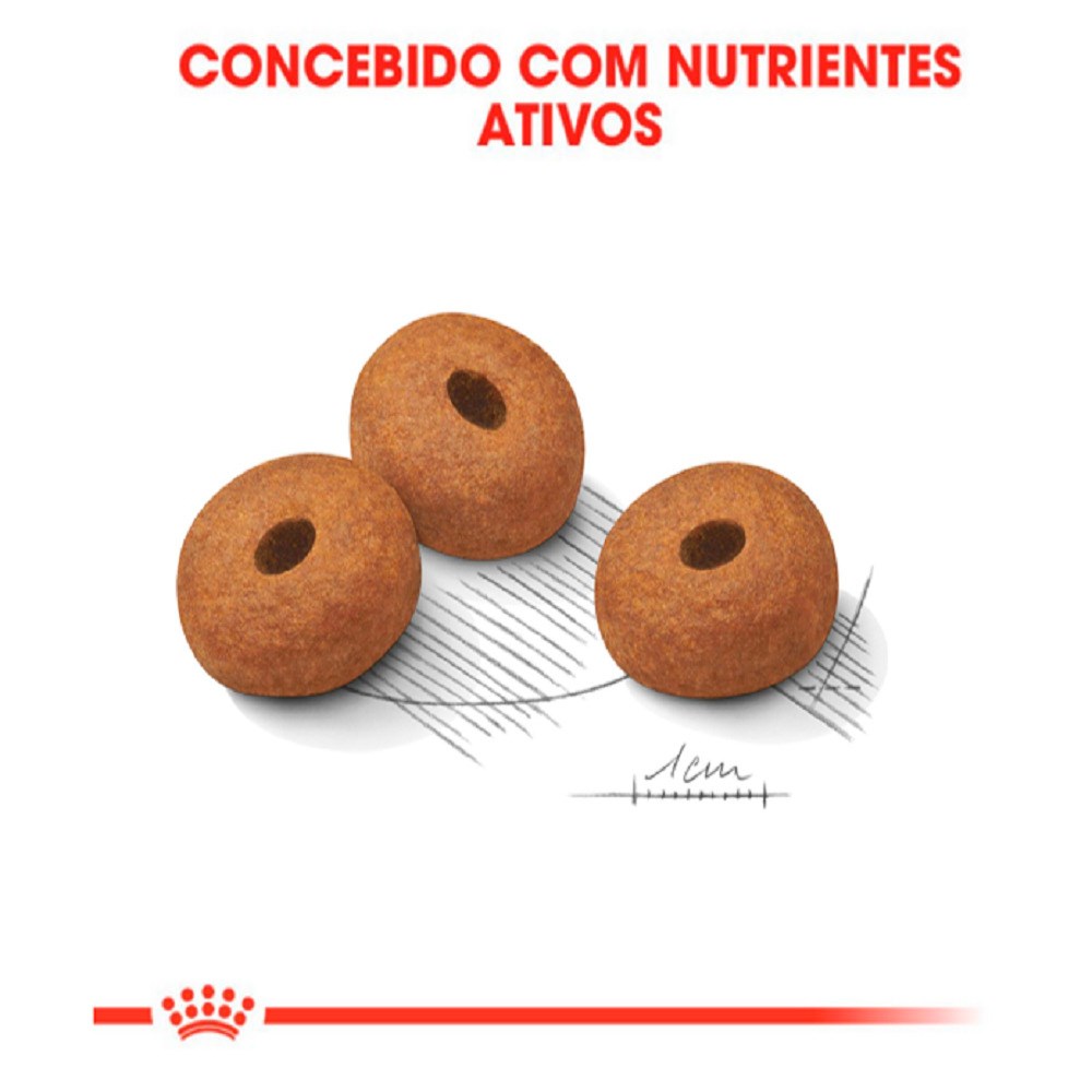 Ração Royal Canin Maxi Light para Cães Adultos de Raças Grandes