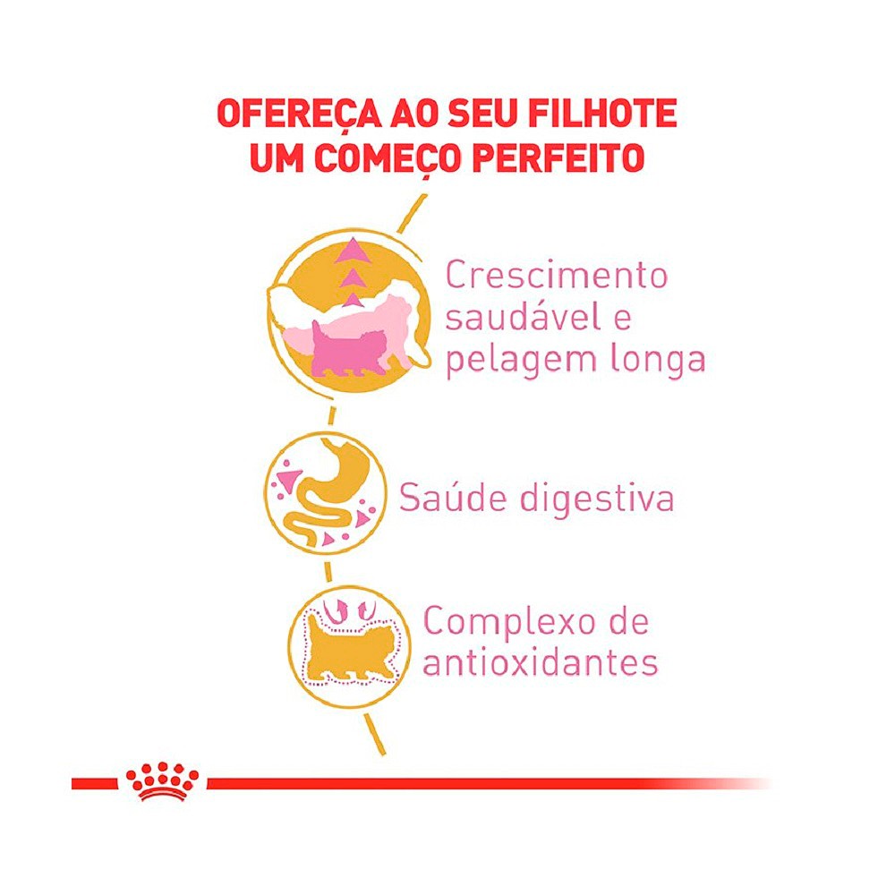 Ração Royal Canin Kitten Persian para Gatos Filhotes Raça Persa