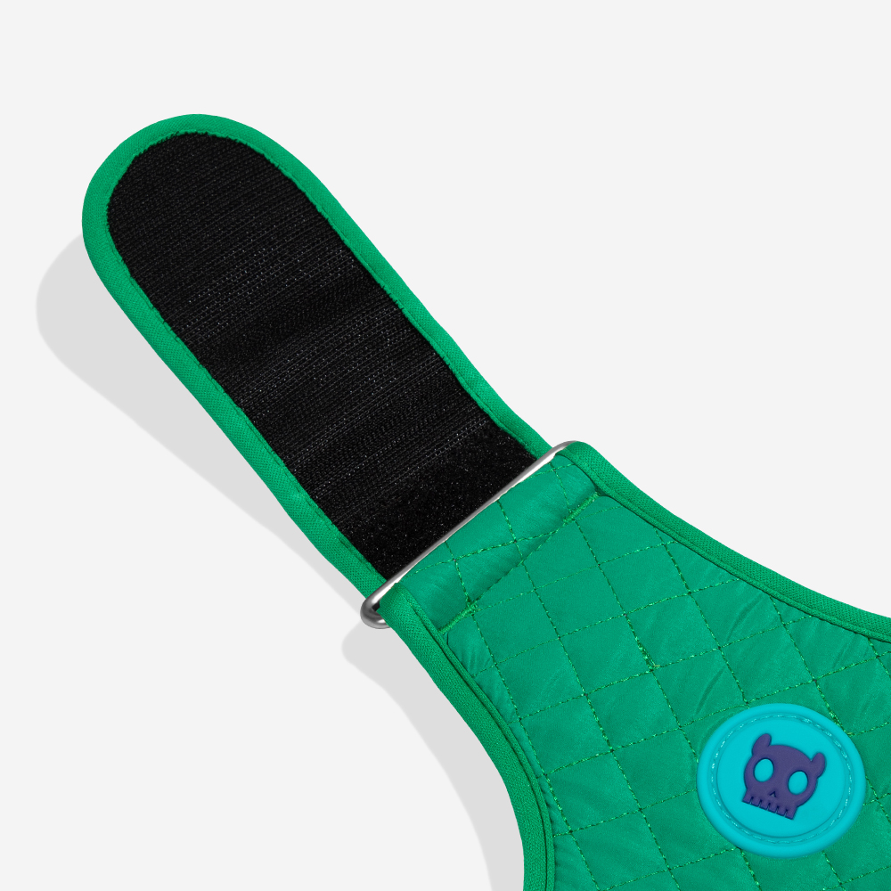 Peitoral para Cachorros Air Mesh Ajustável Velvet Vibes Vert | Imagem 4
