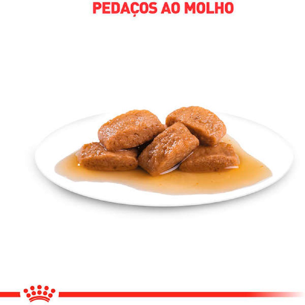 Ração Royal Canin Sachê Maxi Adult para Cães Adultos de Porte Grande