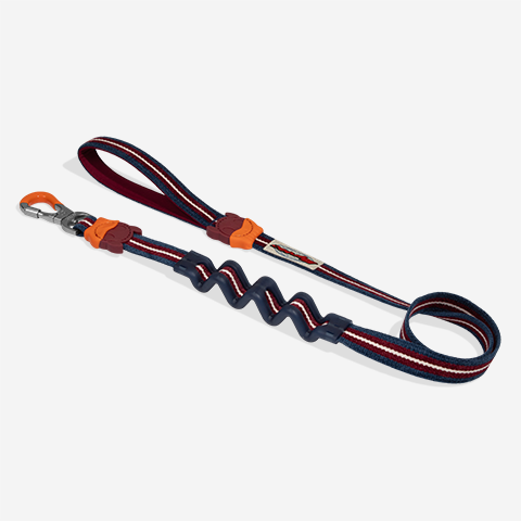 Guia com Amortecedor para Cachorros Velvet Vibes Dropout | Zee.Dog