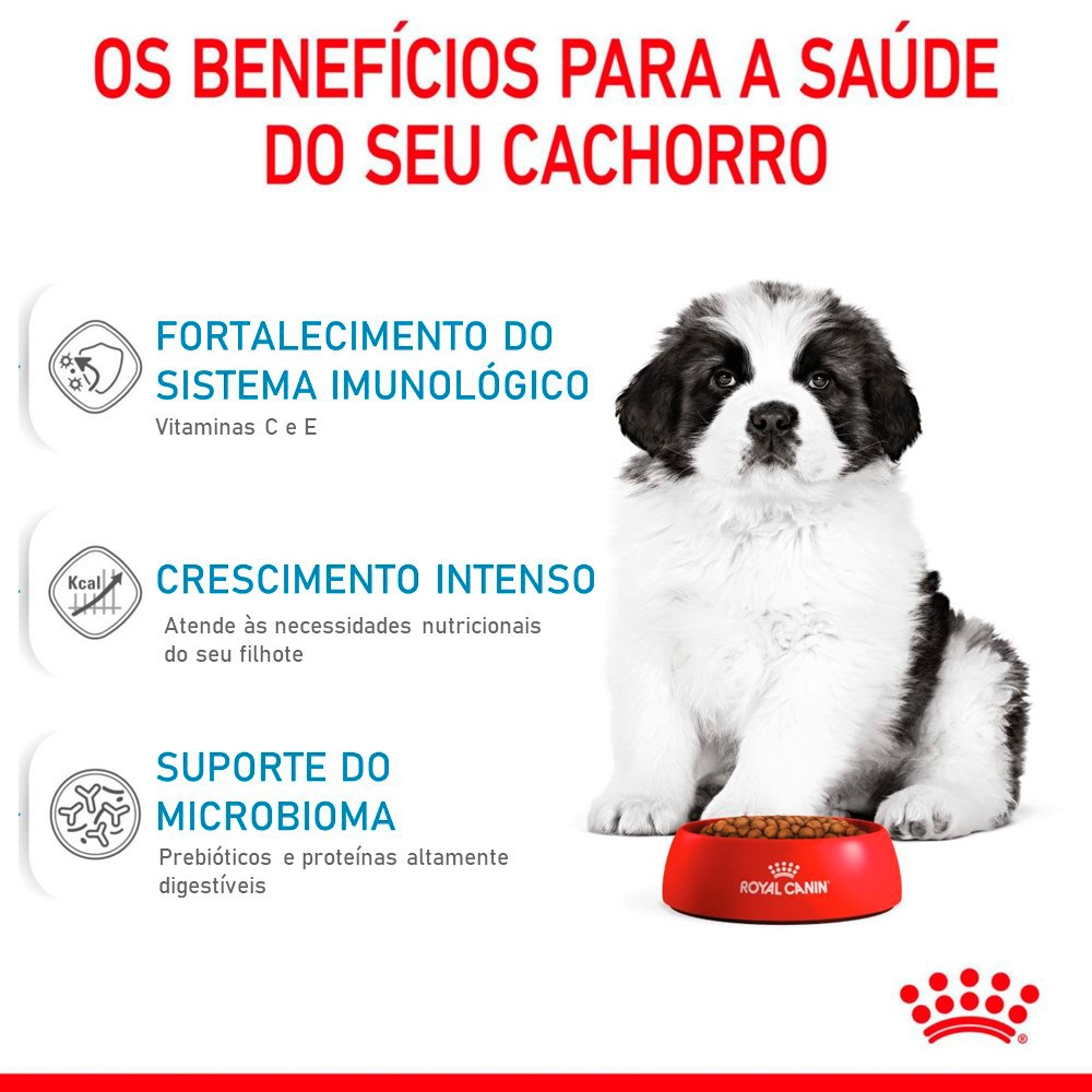 Ração Royal Canin para Cães Filhotes Giant Puppy De 2 a 8 Meses