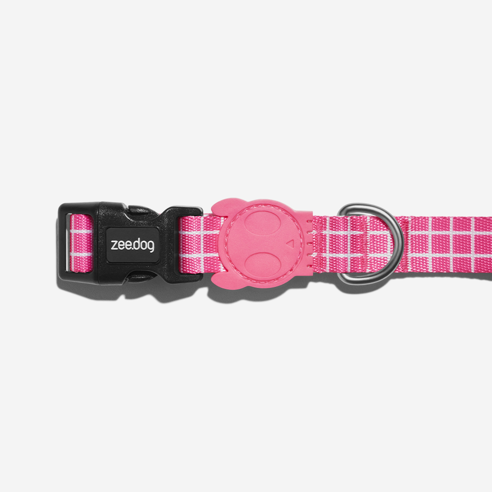 Coleira para Cachorros Pink Wave | Imagem 1