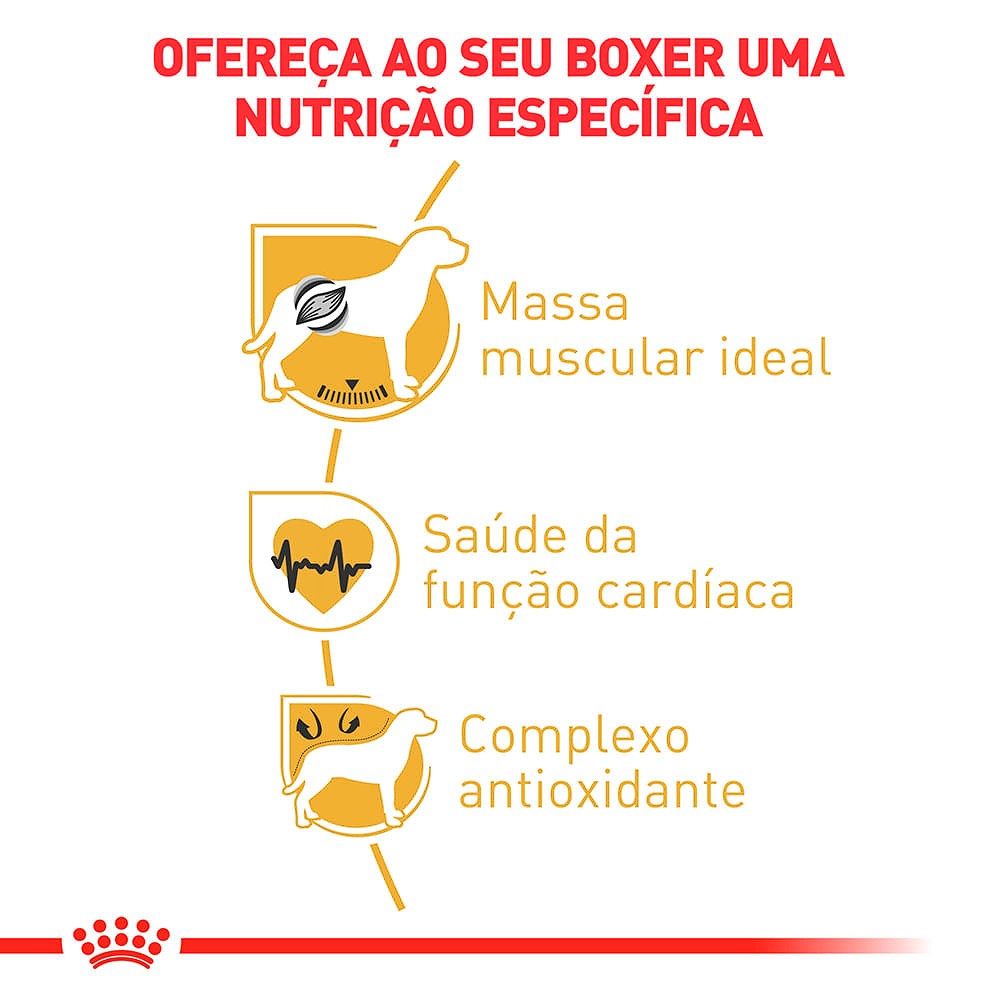 Ração Royal Canin para Cães Adultos da Raça Boxer 