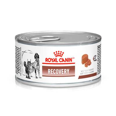 Ração Royal Canin Veterinary Diet Recovery para Cães e Gatos 195g