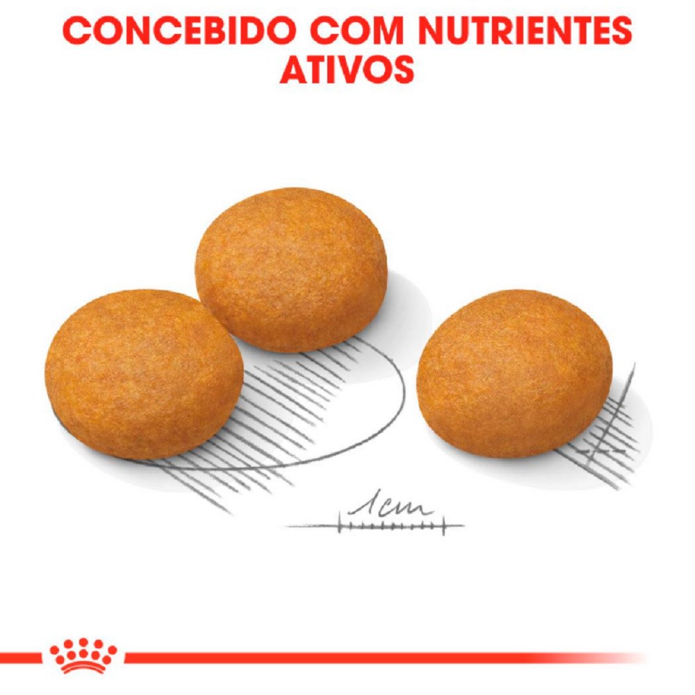 Ração Royal Canin Maxi Dermacomfort para Cães Adultos de Porte Grande