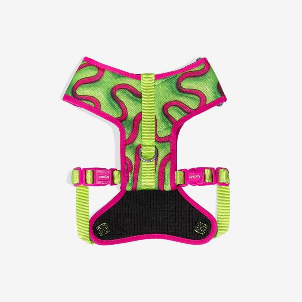 Peitoral para Cachorros Air Mesh Ajustável H3D Jelly | Imagem 2