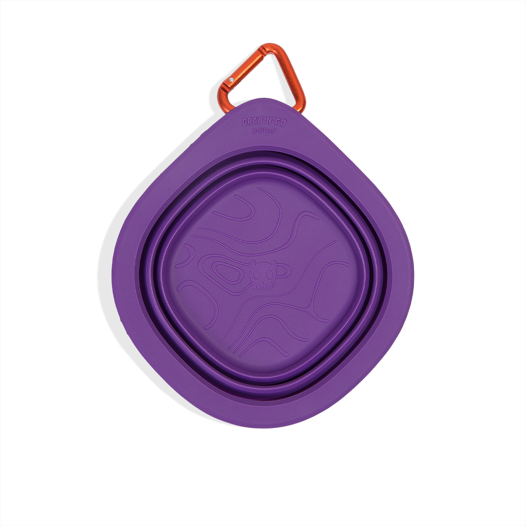 Comedouro para Cachorros Go Bowl Peak