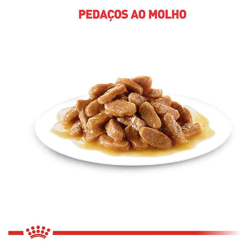 Ração Úmida Royal Canin Digestive Care Chunks in Gravy para Gatos Adultos