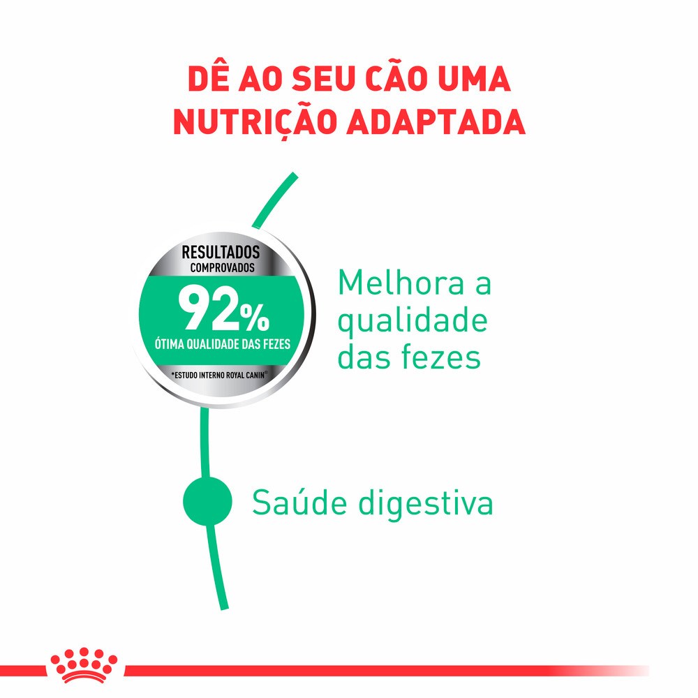 Ração Royal Canin Mini Digestive Care para Cães 