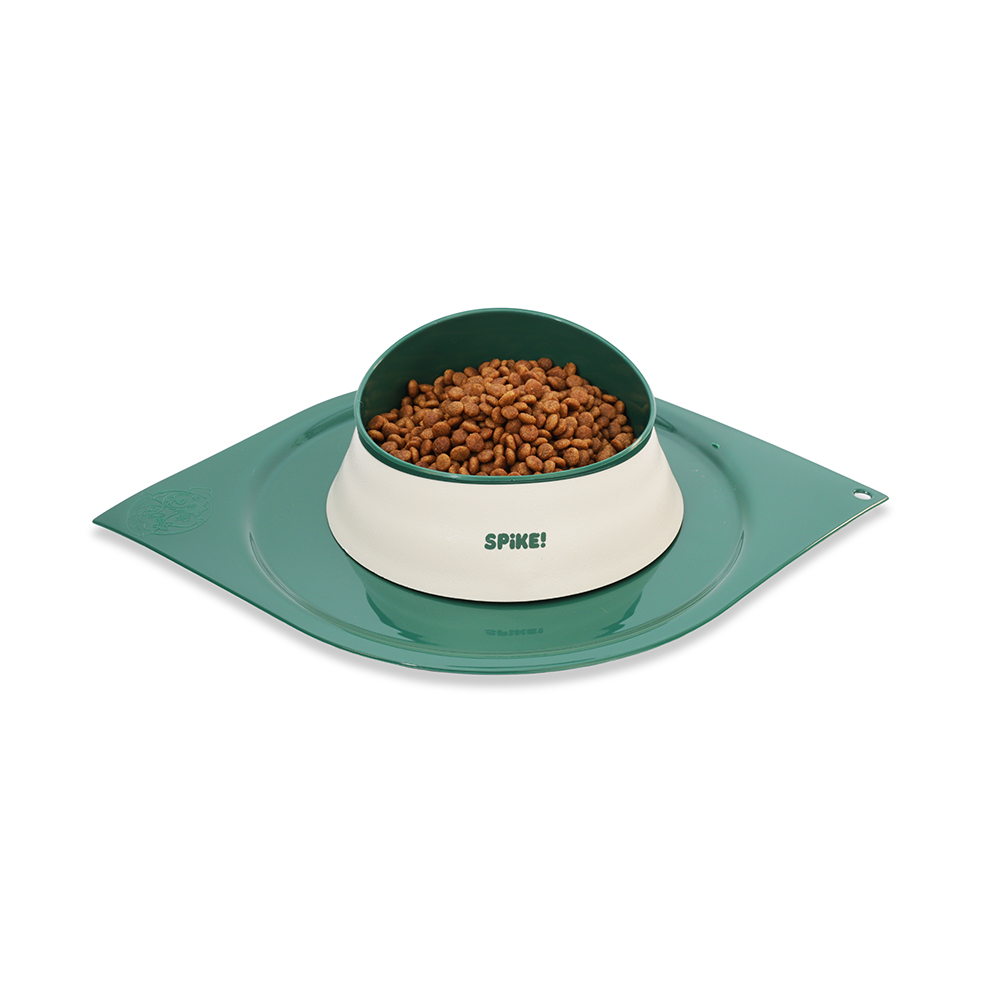 Jogo Americano Spike Verde para Cães