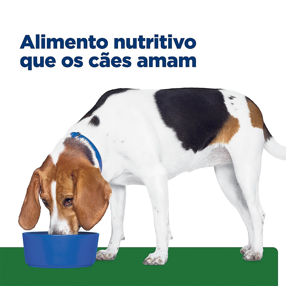 Ração Hills Prescription Diet R/D Redução de Peso para Cães Adultos Obesos