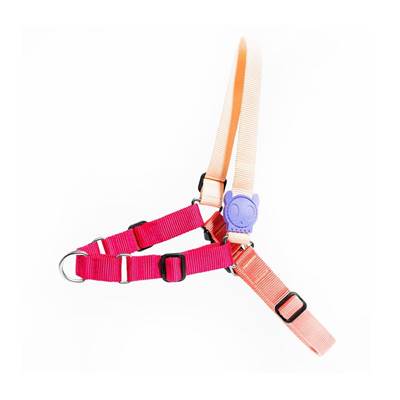 Peitoral para Cachorros Anti Puxão Cinnamon P