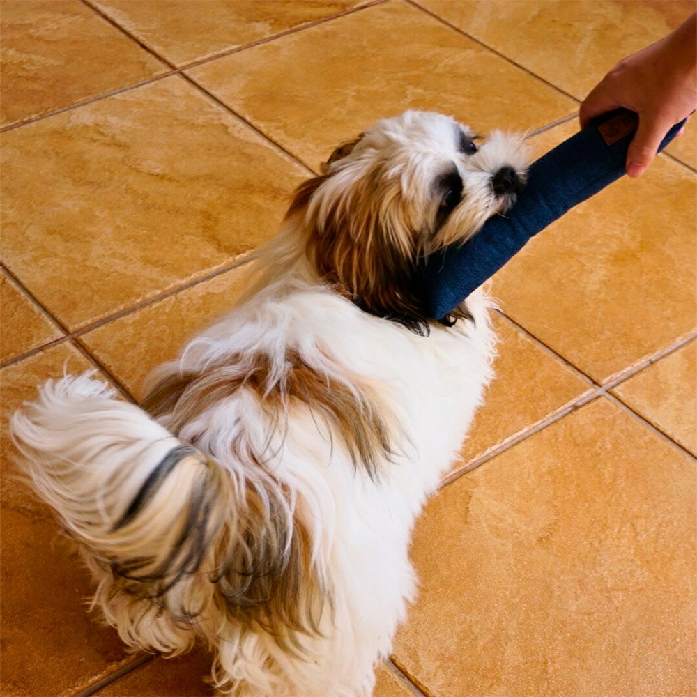 Brinquedo Mabuu Almofada com Apito Reta Verde para Cães e Gatos