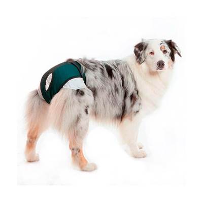 Roupa Protetora Petmed Higiênica para Fraldas e Cio Verde 3