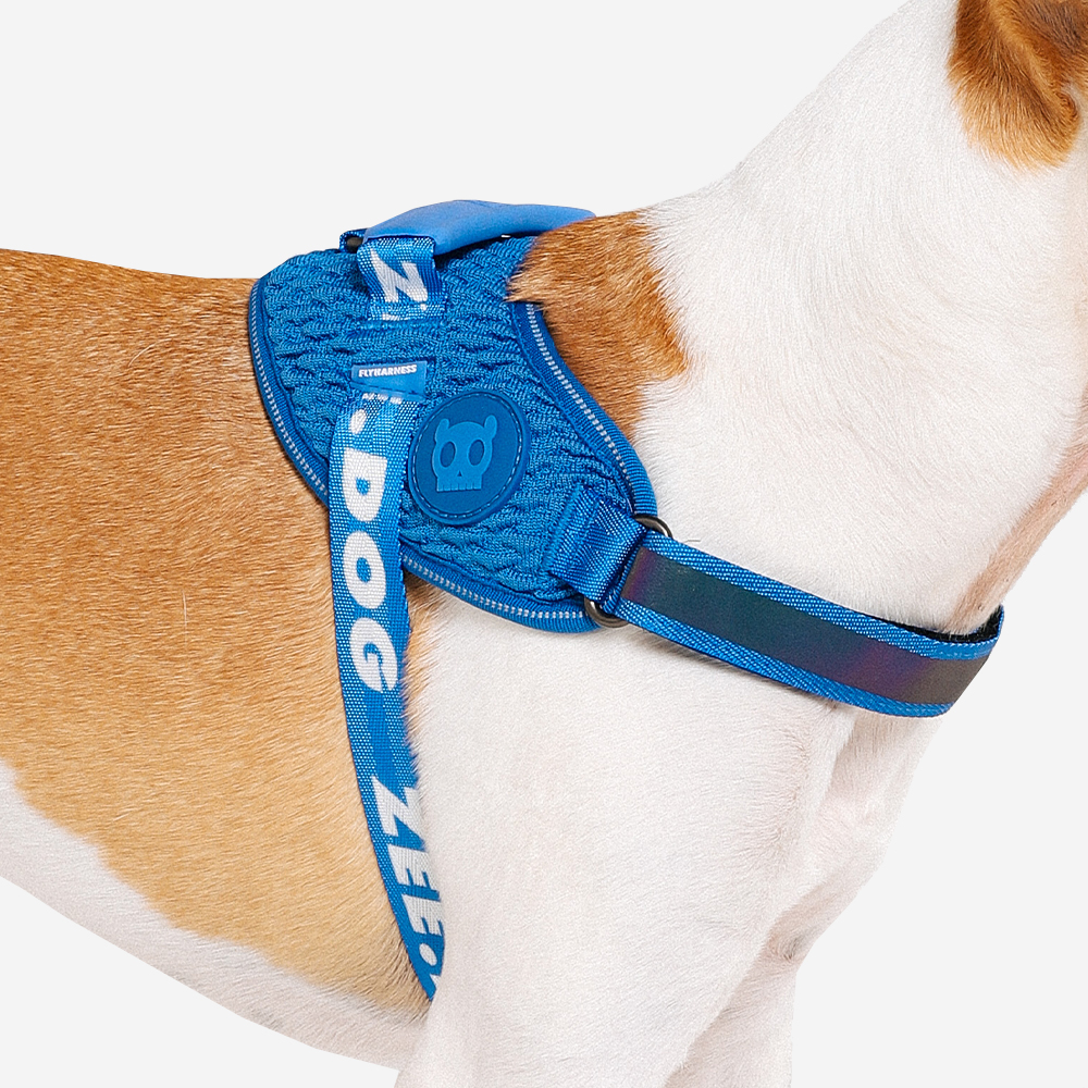 Peitoral para Cachorros FlyHarness Slam Dunk | Zee.Dog