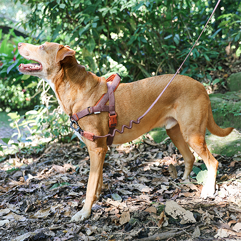 Peitoral Antipuxão SofterWalk para Cachorros Naturals Cocoa | Zee.Dog