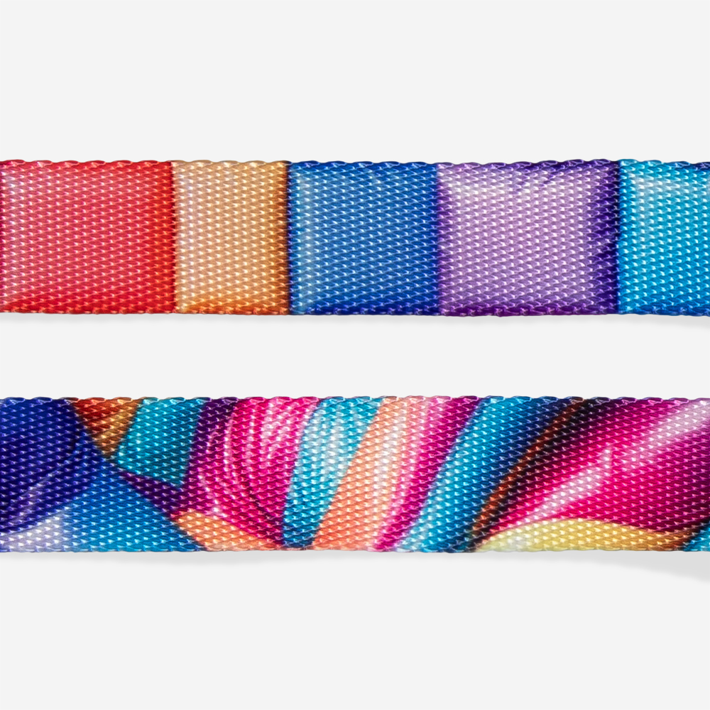 Guia para Cachorros H3D Bounce | Imagem 5