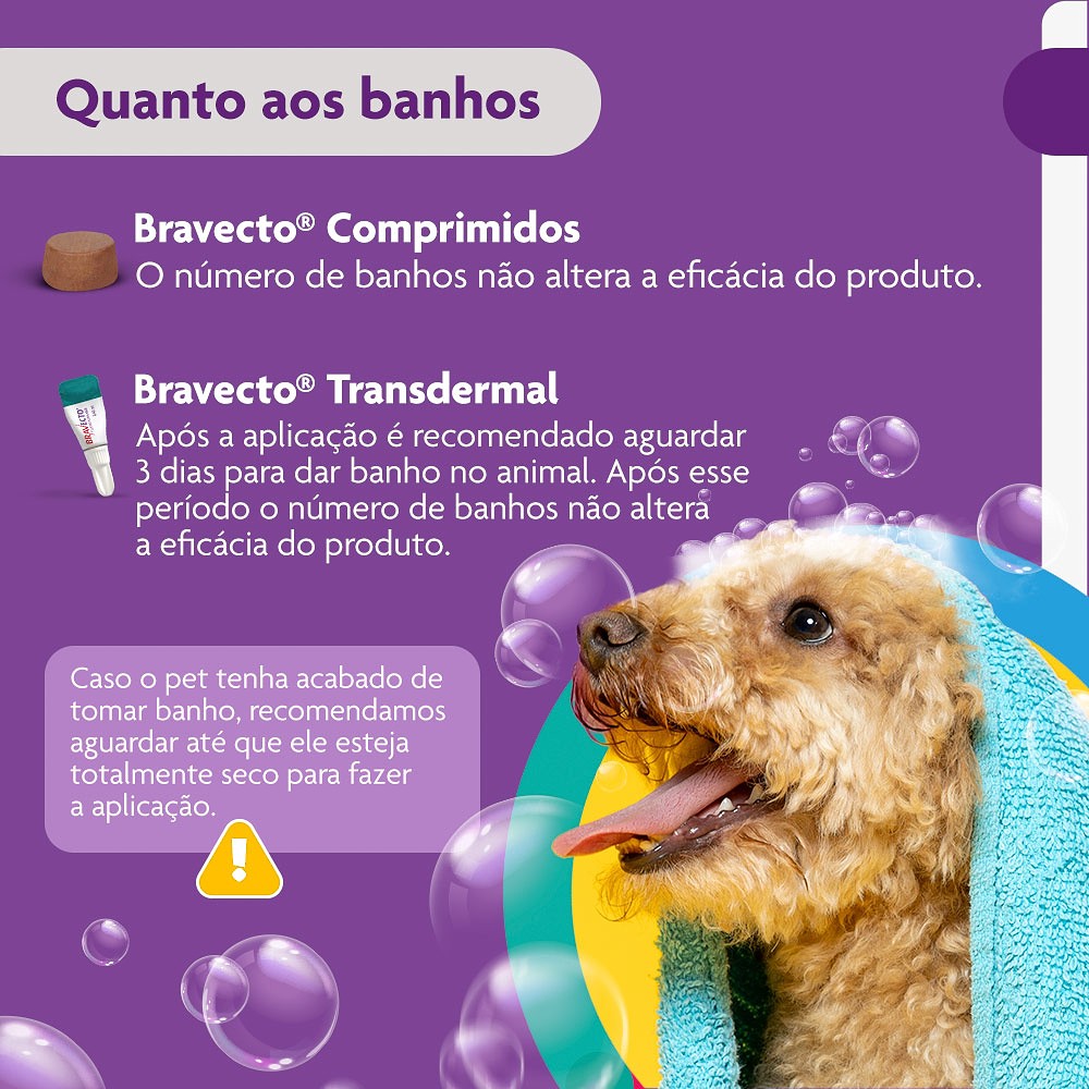 Antipulgas e Carrapatos Bravecto para Cães de 4,5kg a 10kg - 250mg