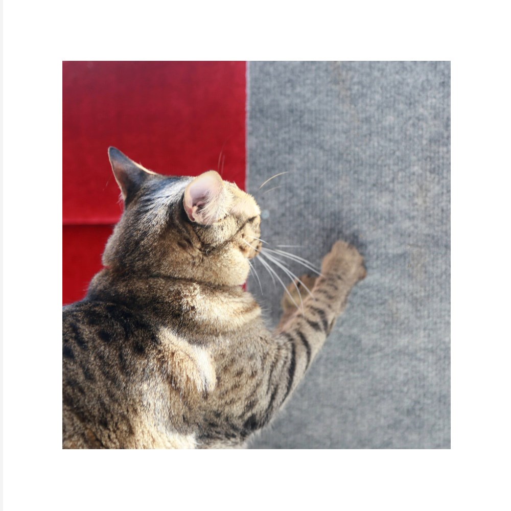 Arranhador Hello Pet de Canto Pelúcia Cinza para Gatos