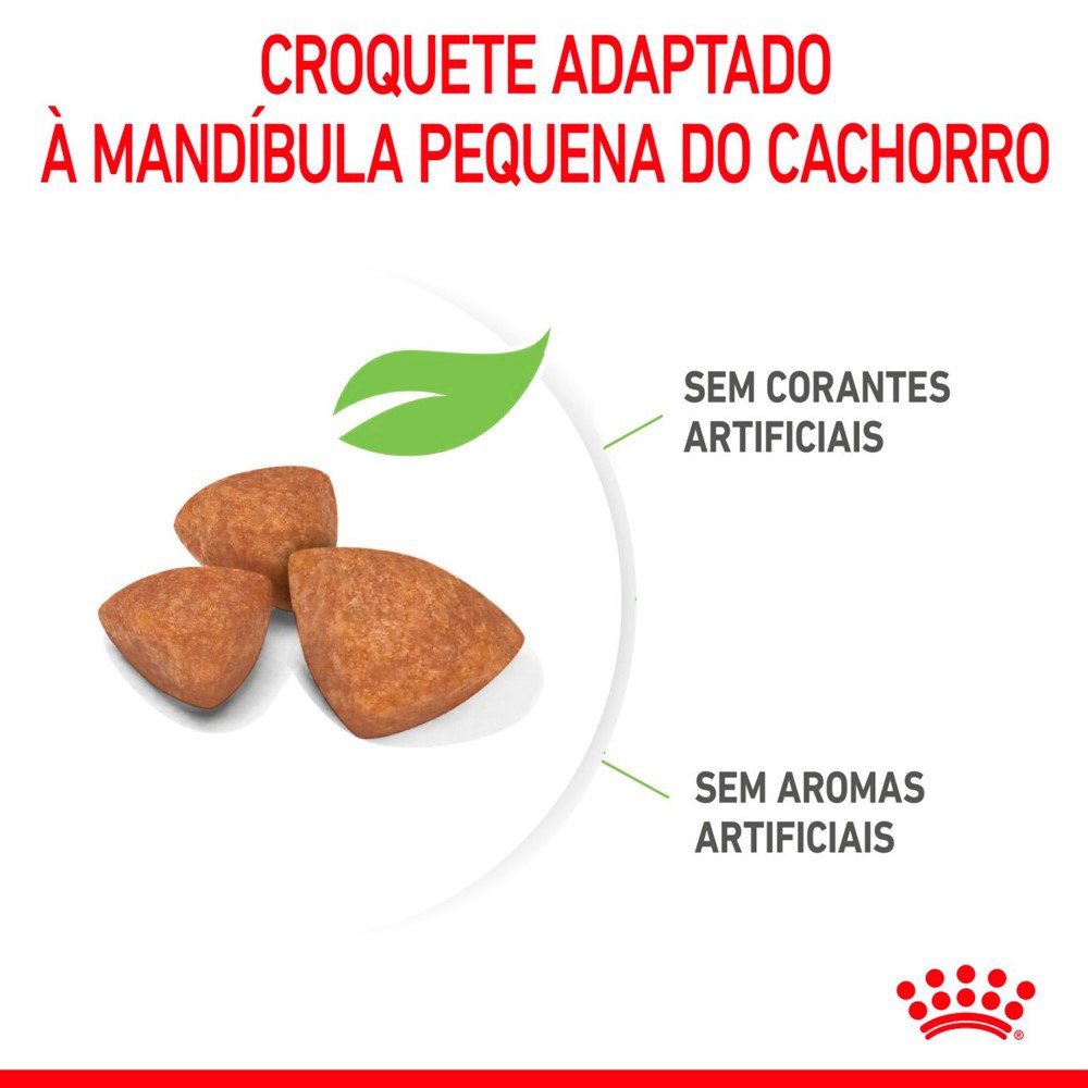 Ração Royal Canin Puppy X-Small para Cães Filhotes de Porte Miniatura