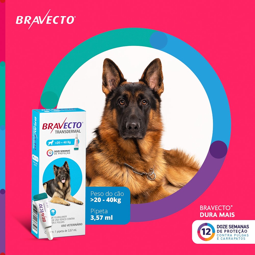 Antipulgas e Carrapatos Bravecto Transdermal para Cães de 20kg a 40kg -  1000mg