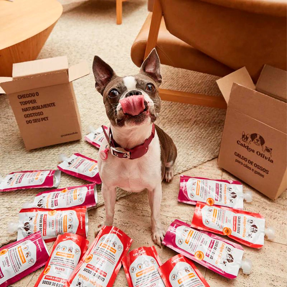 Sachê Caldos Olivia sabor Porco para Cães e Gatos