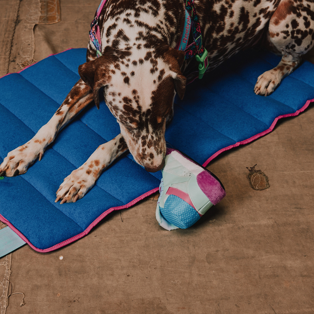 Brinquedo para Cachorros de Pelúcia Reebok Freestyle Hi