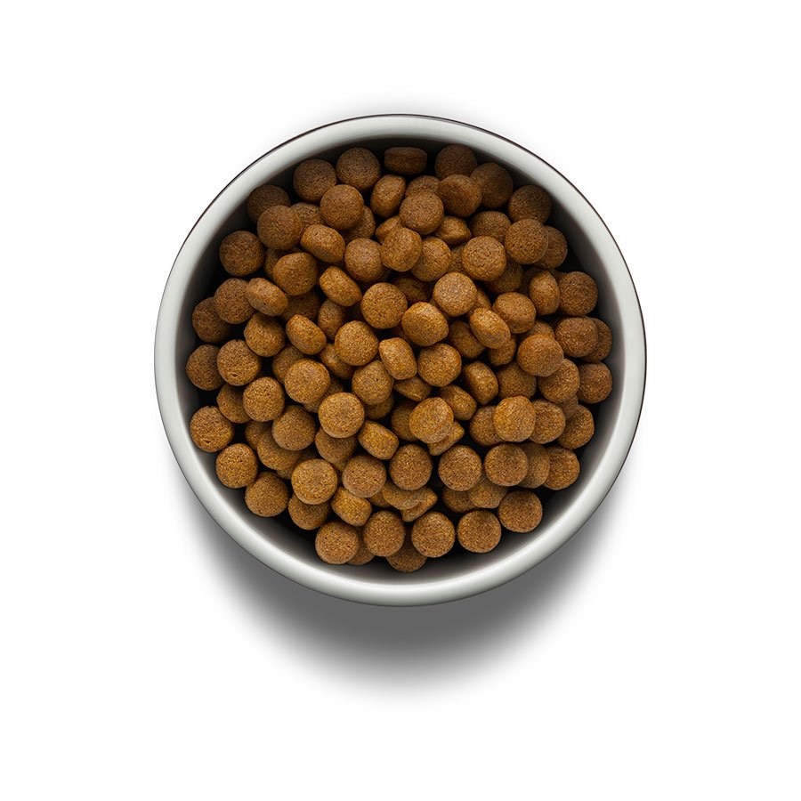 Ração Guabi Natural Grain Free para Cães Adultos Porte Médio sabor Frango & Lentilha
