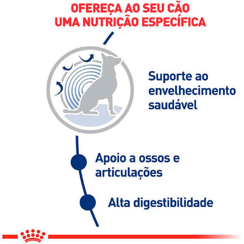 Ração Royal Canin Maxi Ageing 8+ para Cães Sênior de Raças Grandes