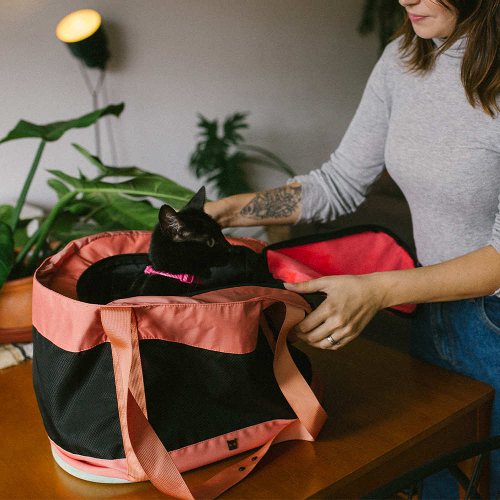Bolsa de Transporte para Gatos Terracota
