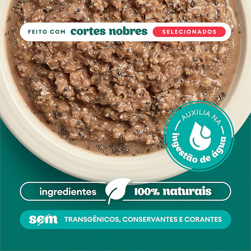 Sachê Natural Pet Delícia Ragu de Carne com Chia para Gatos
