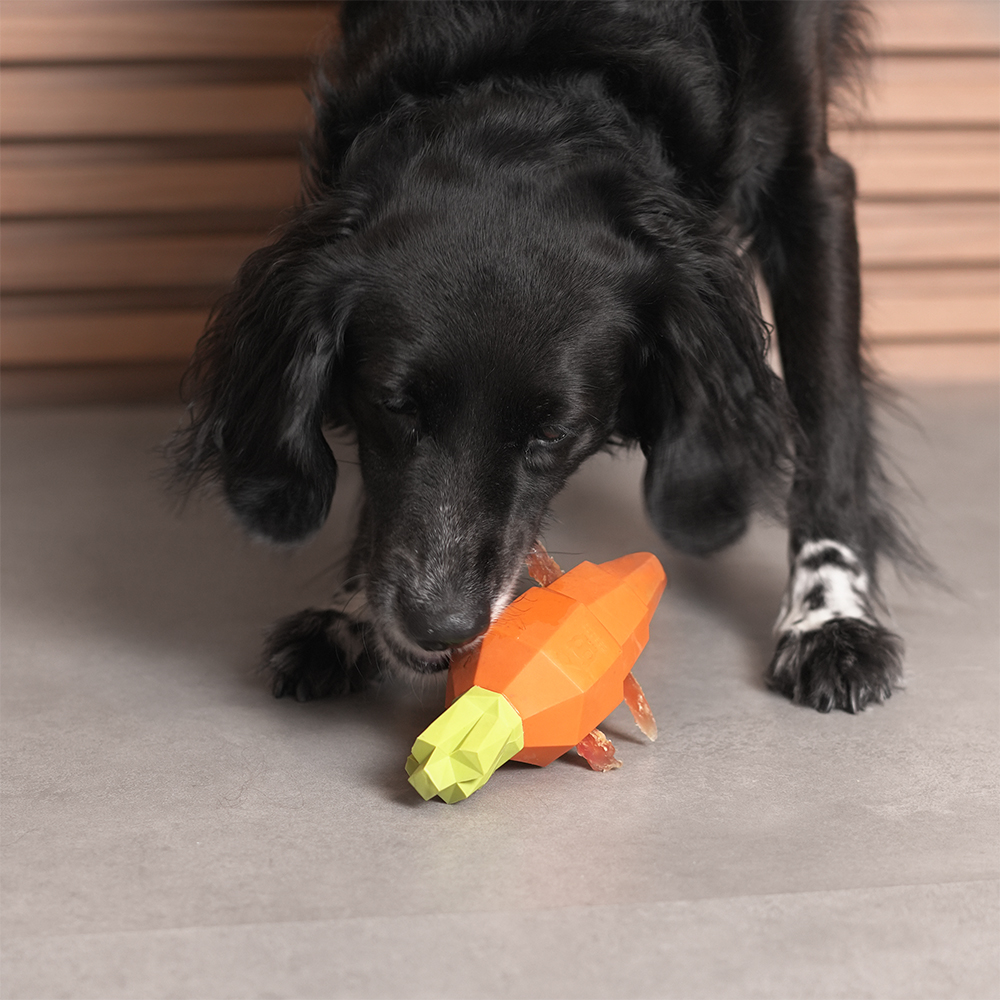Brinquedo para Cachorros Super Veggiez Cenoura