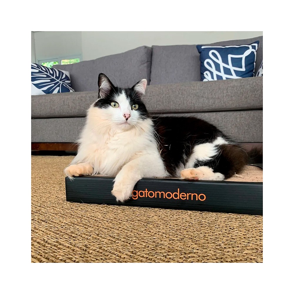 Arranhador Gato Moderno Bali para Gatos