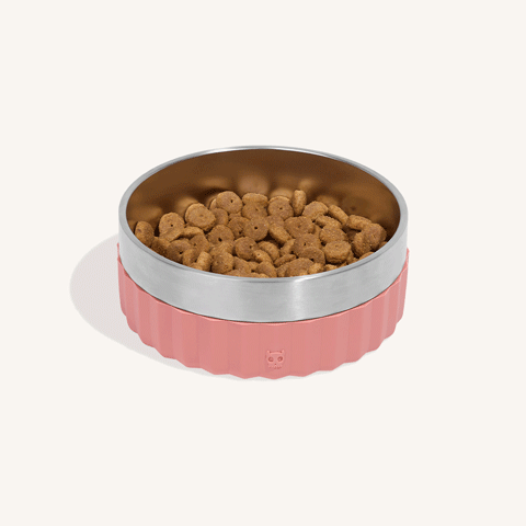 Topper para Ração Zee.Dog Kitchen sabor Frango | Zee.Dog