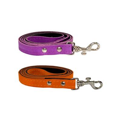 Guia AMF Canadá para Cães - Cores Sortidas