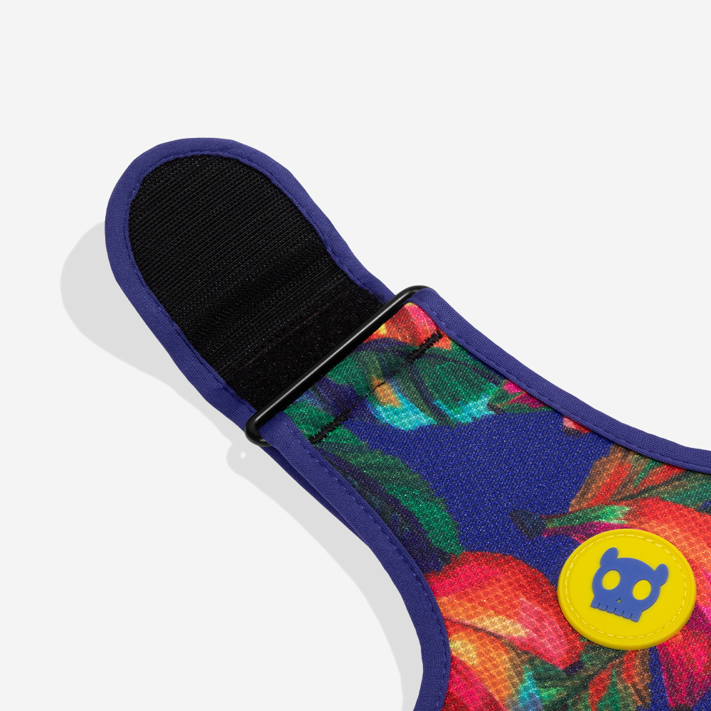 Peitoral para Cachorros Air Mesh Ajustável FARM Rio Samba | Imagem 3