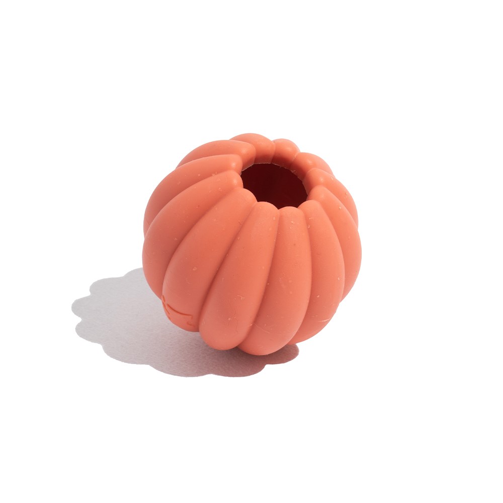Brinquedo para Cachorros Tangerina Vermelho 