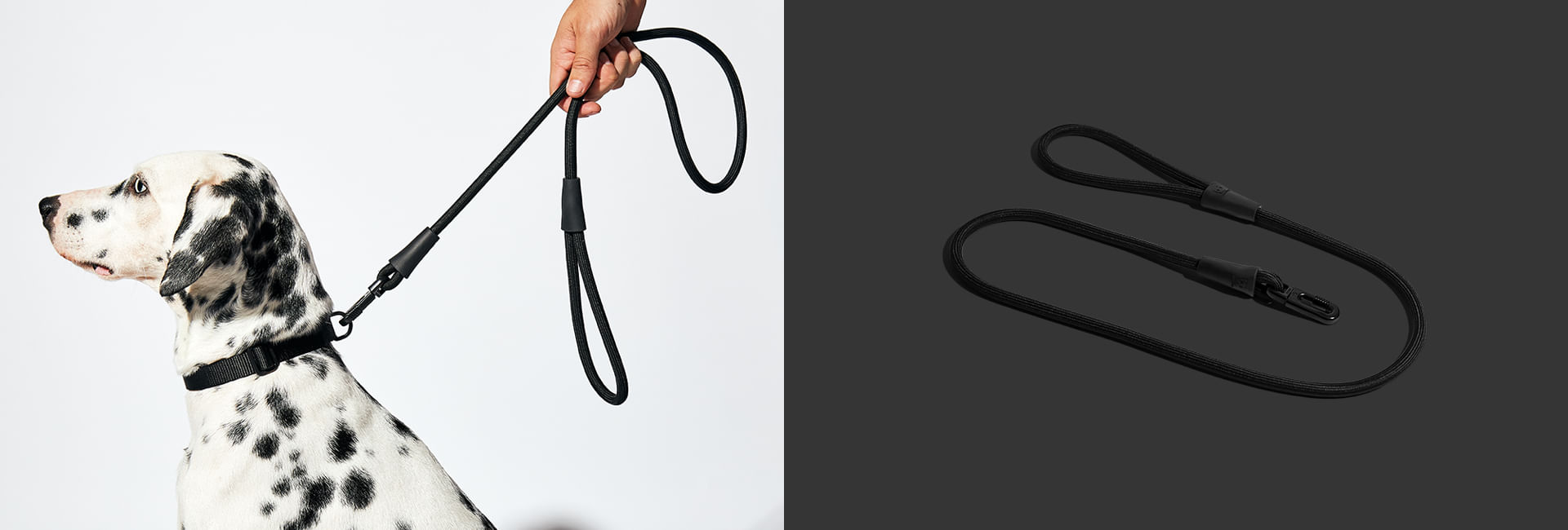 Guia de Corda para Cachorros Gotham | Lifestyle Images