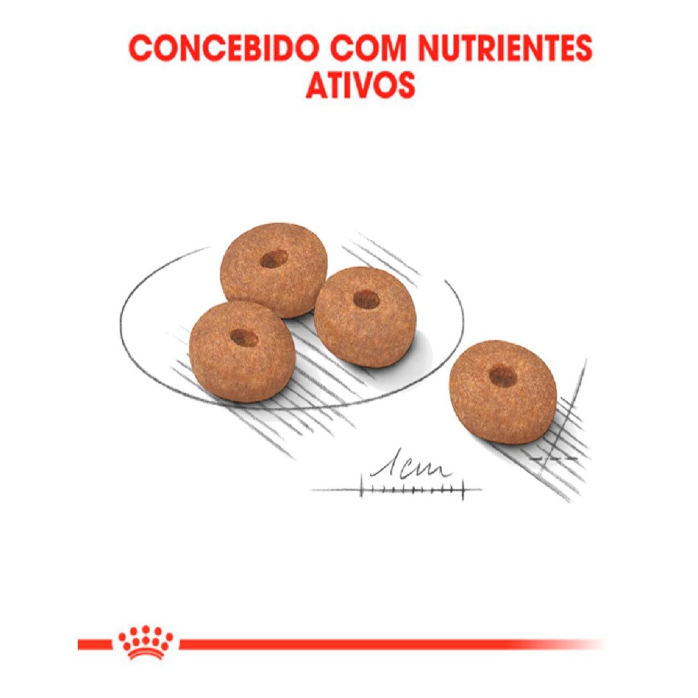 Ração Royal Canin Mini Adult Light para Cães Adultos de Porte Pequeno