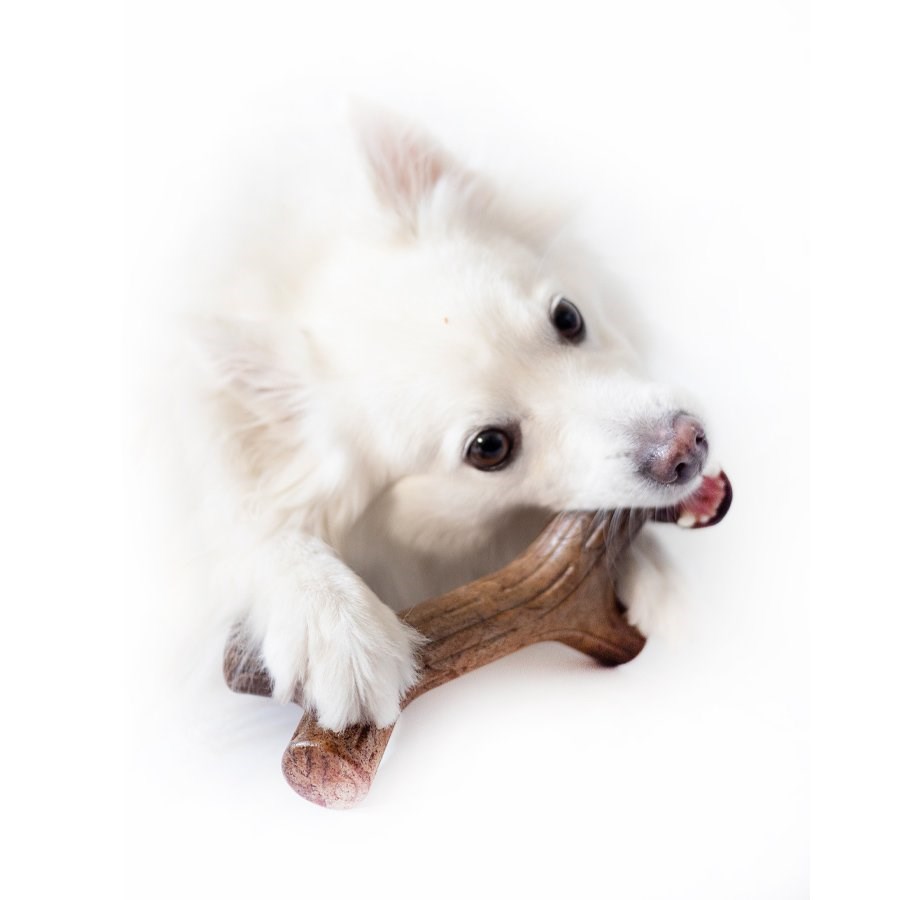 Brinquedo Benebone Maplestick