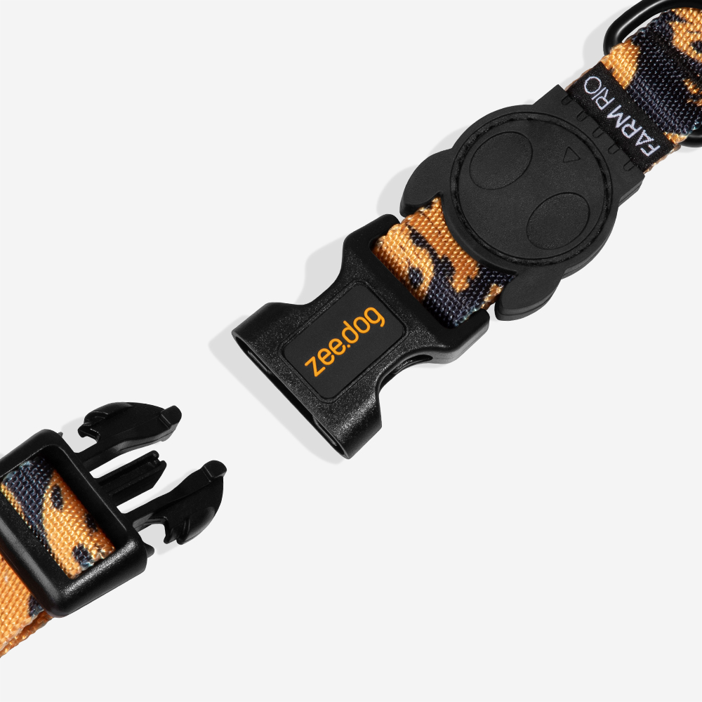 Coleira para Cachorros FARM Rio Bossa Banana | Imagem 2