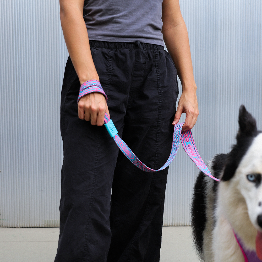 Guia para Cachorros NitLeash Candy