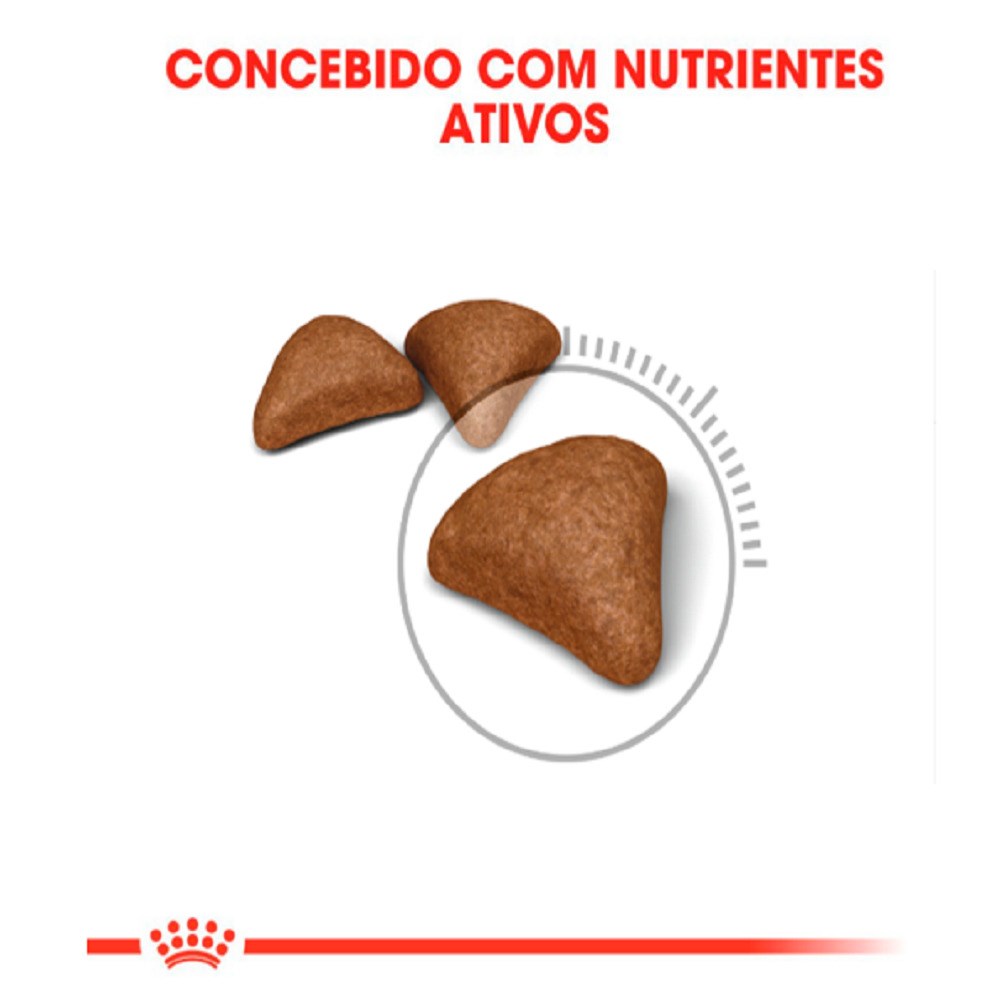 Ração Royal Canin Hairball Care para Gatos Adultos