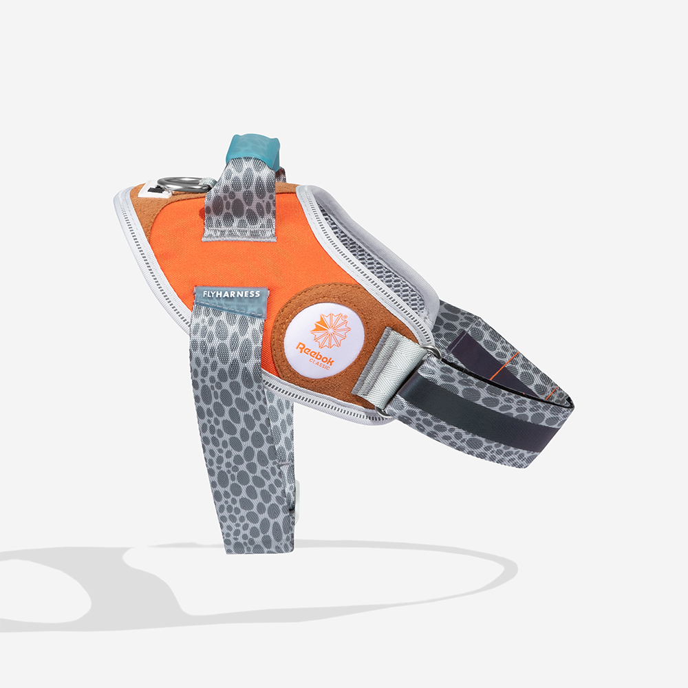 Peitoral para Cachorros FlyHarness Reebok Suede | Zee.Dog