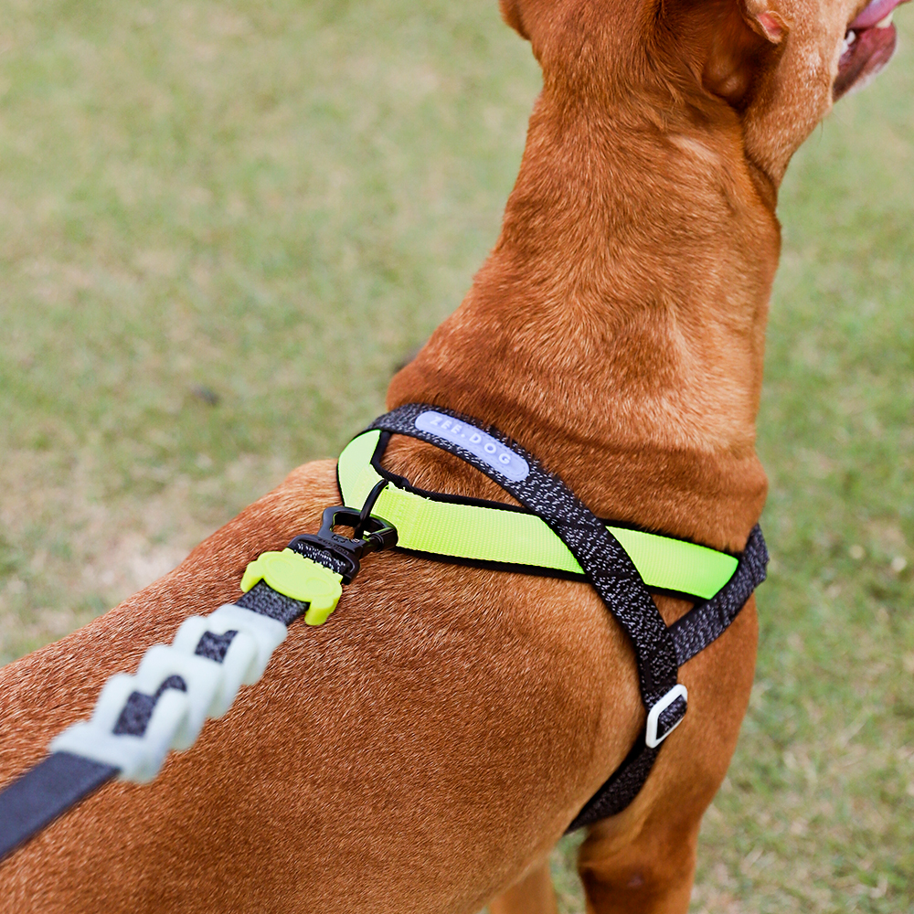 Peitoral Antipuxão SofterWalk para Cachorros Nox 