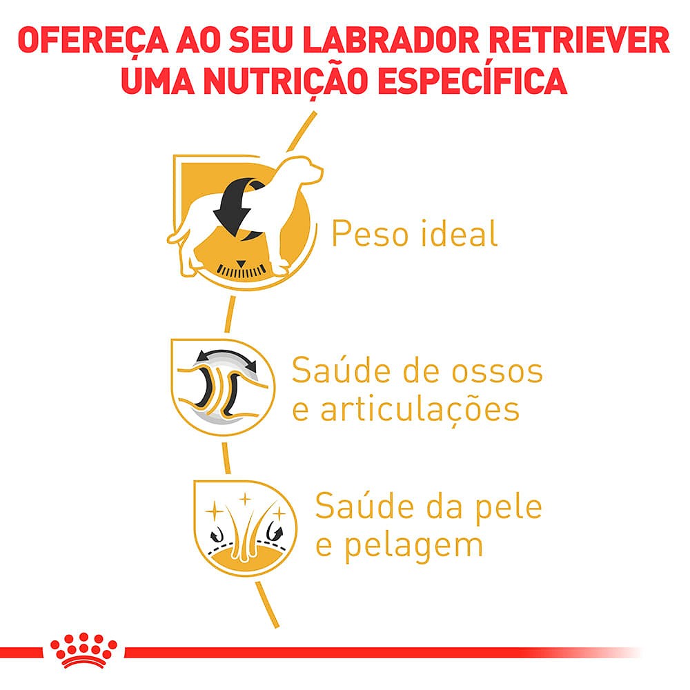 Ração Royal Canin para Cães Adultos da Raça Labrador Retriever